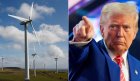trump-yenilenebilir-enerji-1